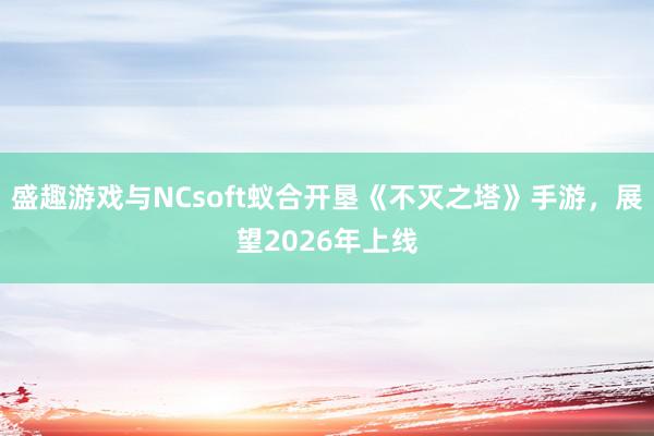 盛趣游戏与NCsoft蚁合开垦《不灭之塔》手游,展望2026年上线